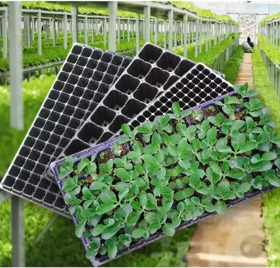 Plateau de démarrage de semences/pépinières agricoles