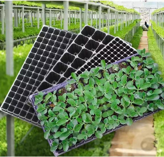 Plateau de démarrage de semences/pépinières agricoles