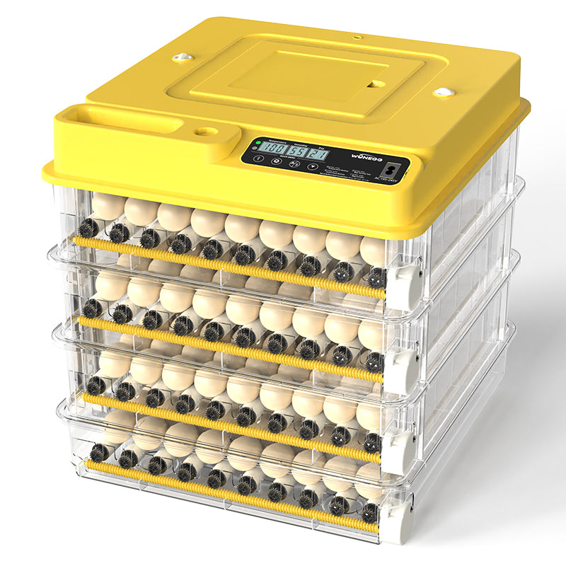 Incubateur Automatique à Œufs HHD – Petite Taille Haute Précision