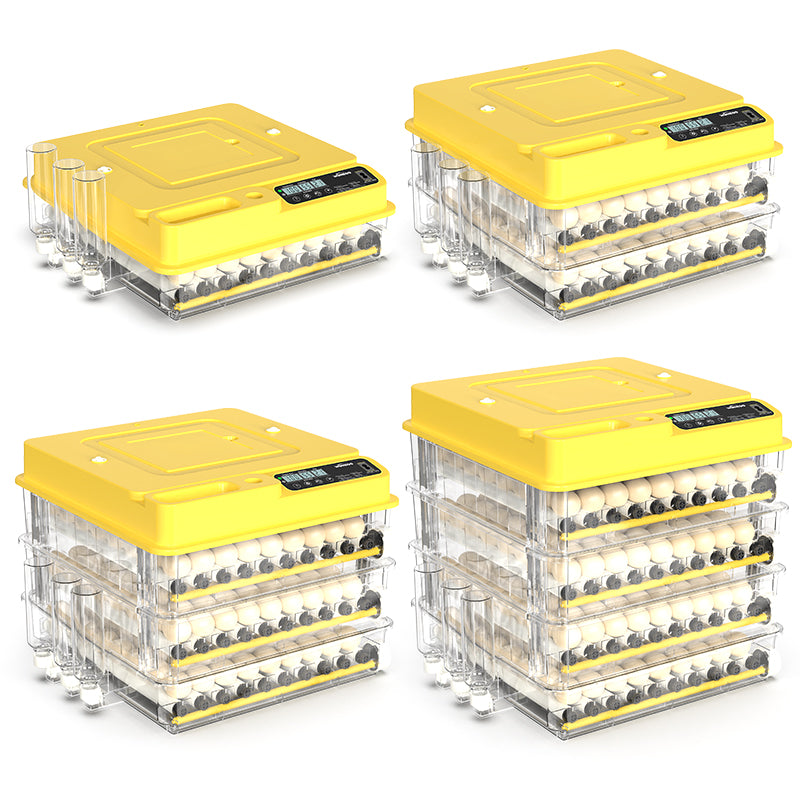 Incubateur Automatique à Œufs HHD – Petite Taille Haute Précision