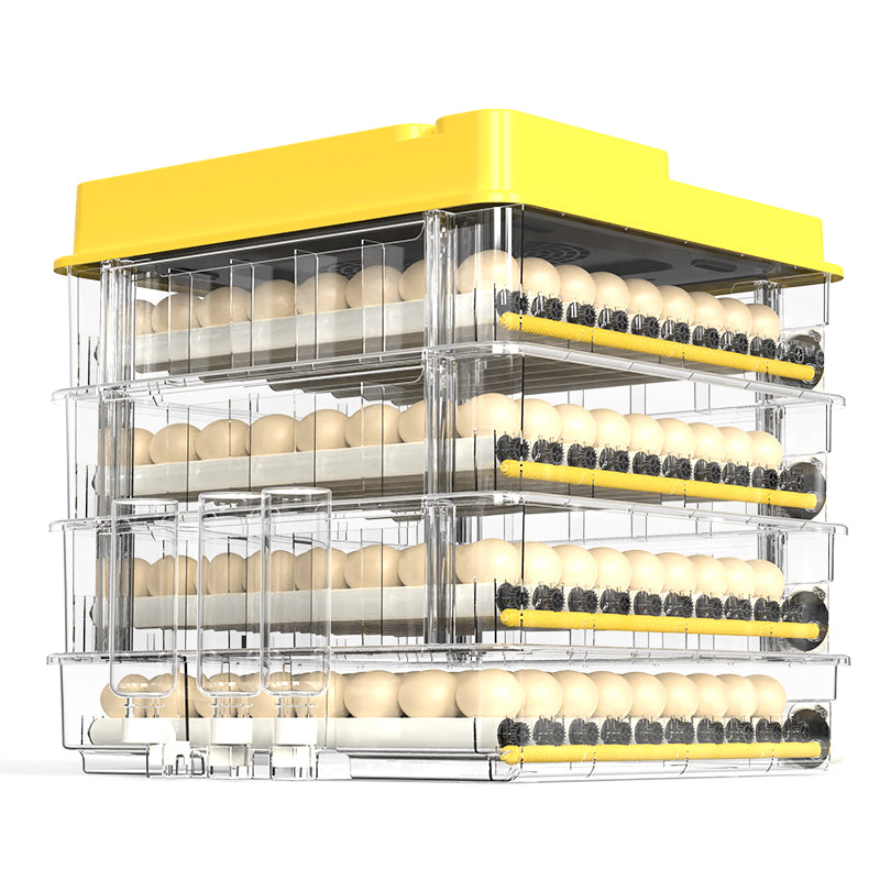 Incubateur Automatique à Œufs HHD – Petite Taille Haute Précision