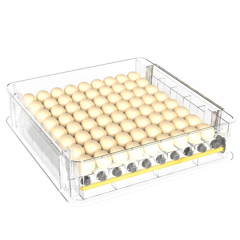Incubateur Automatique à Œufs HHD – Petite Taille Haute Précision