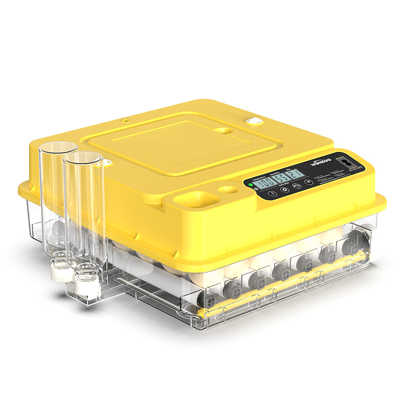 Incubateur Automatique à Œufs HHD – Petite Taille Haute Précision